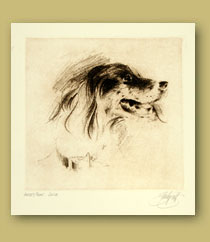 etching, etchings, sandy scott, wildlife art, bird art, original etchings, original prints, western art, animal art, dog art, sporting art, limited edition prints, fine art prints, wildlife etchings, sandy scott sculpture, rodeo art, gray's sporting journal, art books, ducks, hunting art,  watercolor etchings, hummingbirds, fish art, fishing art,labs, sporting dogs, brittany art, rooster art, farm animal art, rural art, owl art, owl art,  quail art, decoy art, horse art, animal art